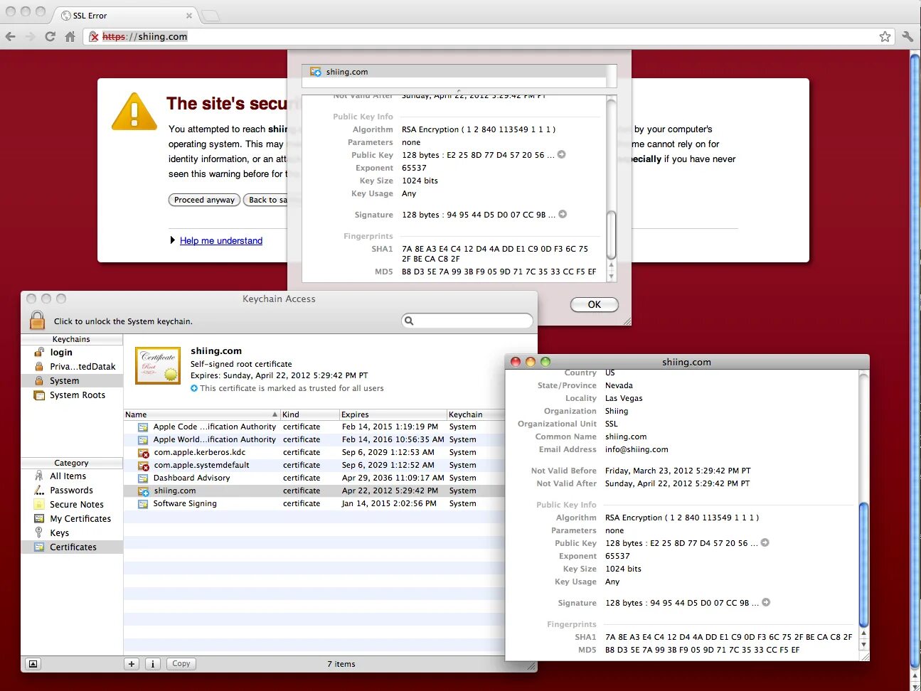Import cert. Chrome SSL Certificates. SSL сертификат download Chrome. Проверка сертификата SSL Linux. Рабочий самоподписанный сертификат SSL на Apache Linux Debian в браузере.