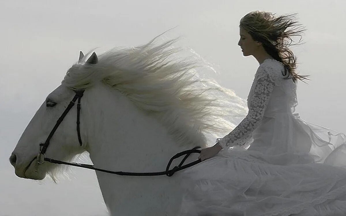 Я гналась за вами чтобы сказать. Белый конь. Девушка на белом коне. Девушка и белая лошадь. Белая лошадь с девочкой.