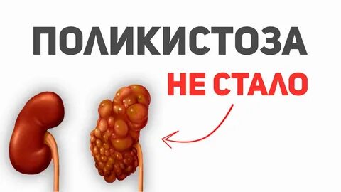 Почки печень питание