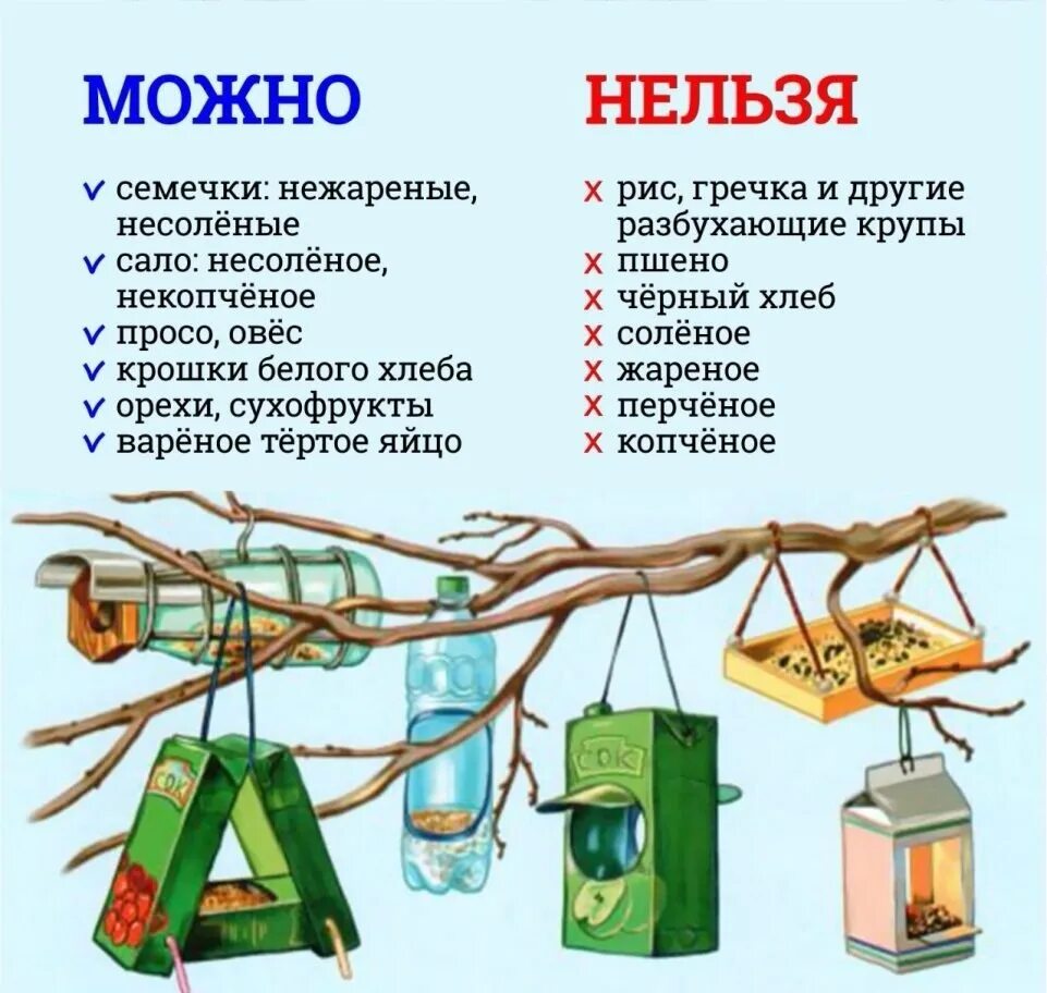 Что можно птичкам зимой. Чем можно и чем нельзя кормить птиц зимой. чем можно и нельзя кормить зимующих птиц. памятка как кормить птиц. корм для зимующих птиц в кормушку.