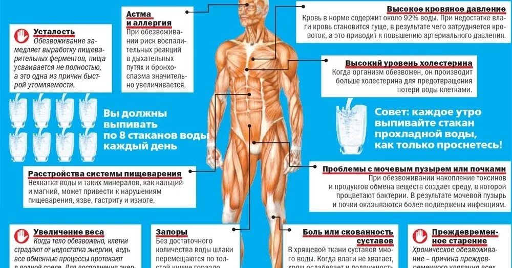 Может ли организм человека. Потеря воды в организме. обезвоживание организма. причина обезвоживания организма у человека. болезни вызванные недостатком воды в организме.