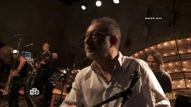 Квартирник маргулиса купание обезьяны в теплой воде. Квартирник у маргулиса 2022. Купание обезьяны в теплой воде группа. Мельница квартирник. Капание обезьяны в теплой воде годы.