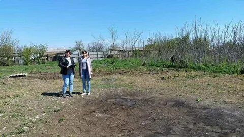 Погода в крымке
