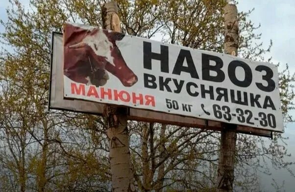 Курнул но вроде не навоз как называется. Навоз. Навоз вкусняшка. Закон о навозе. Навоз в России карикатуры.