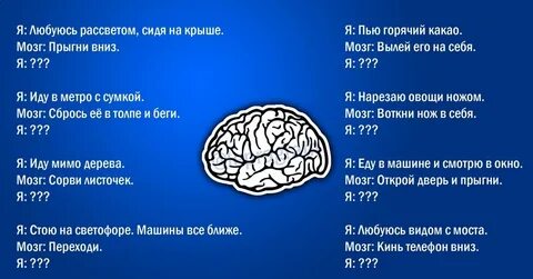 Курс мозг