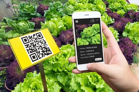 Plant code