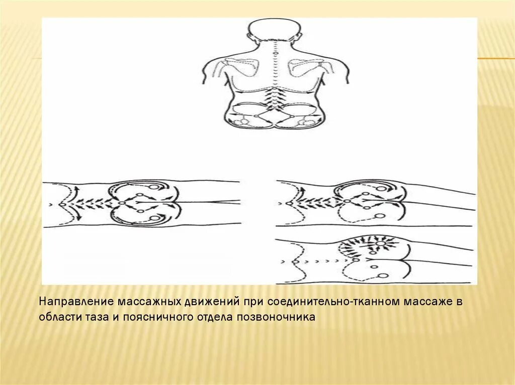 Направление массажных движений при массаже. Направление массажных движений. Схема направления массажных движений. Направление массажных движений при массаже спины.