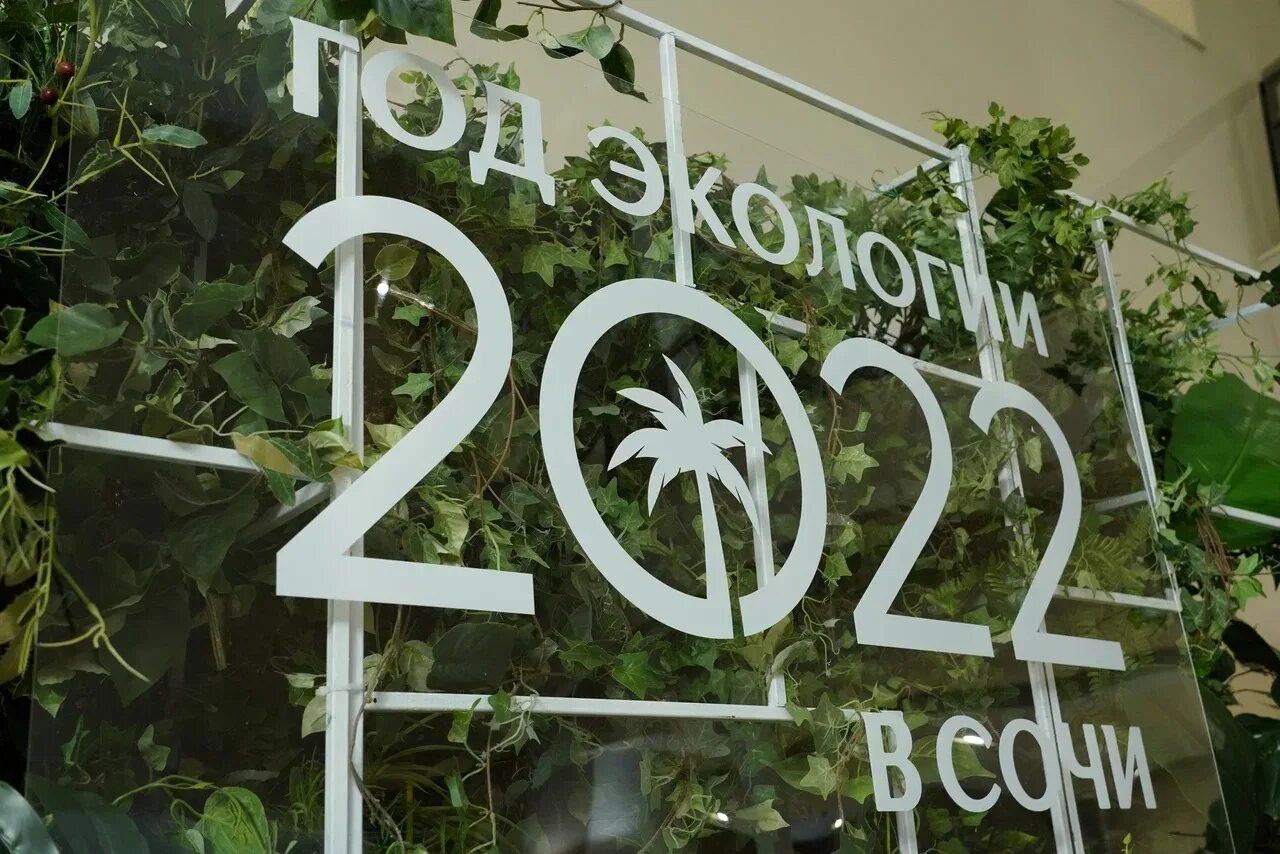 Эмблема года экологии. Эмблема года экологии. Год экологии парки. Год экологии парки. Год экологии парки.