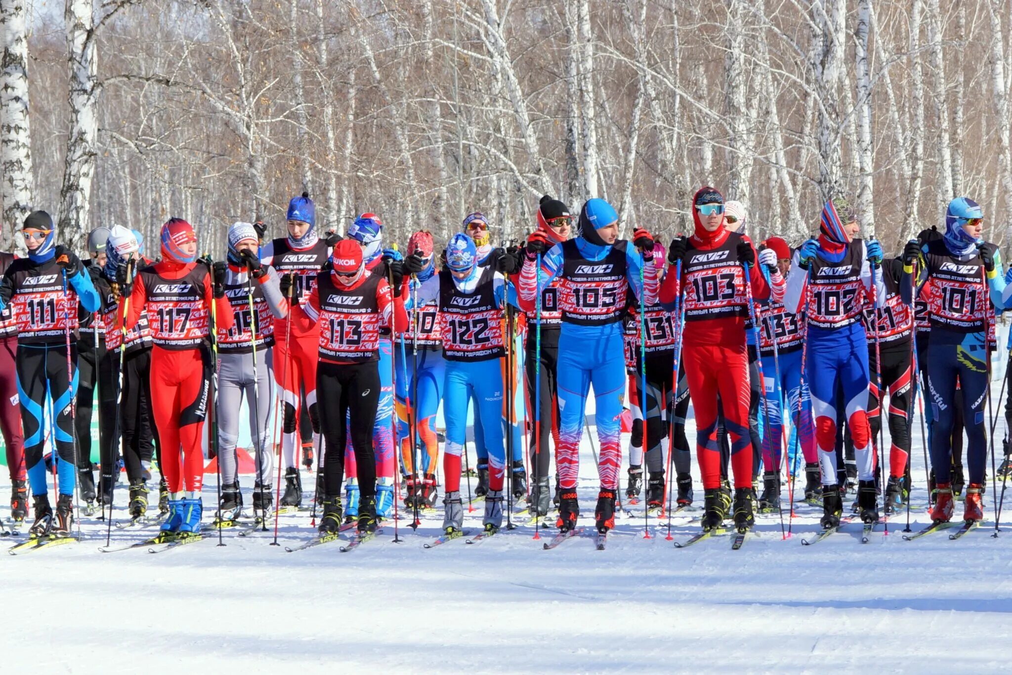 Гатчинский лыжный марафон 2024. Лыжный марафон KV+. Лыжный забег. Федерация лыжных гонок Омской области.