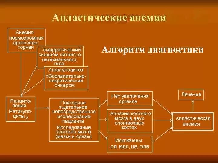 Причины гипопластических анемий