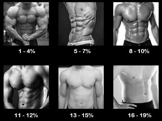 таблица норм процентов жира. как понять количество жира в организме. как узнать жира в организме. процент жира в организме. как узнать жира в организме.