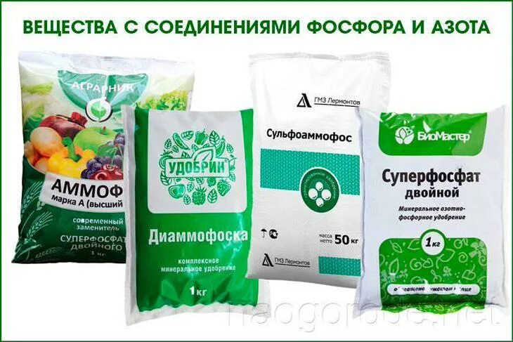 Чем заменить азотные удобрения в домашних условиях Картинки КАКИЕ УДОБРЕНИЯ ОТНОСЯТСЯ К ФОСФОРНЫМ