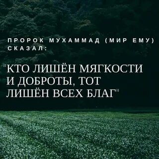 Мягкость человека