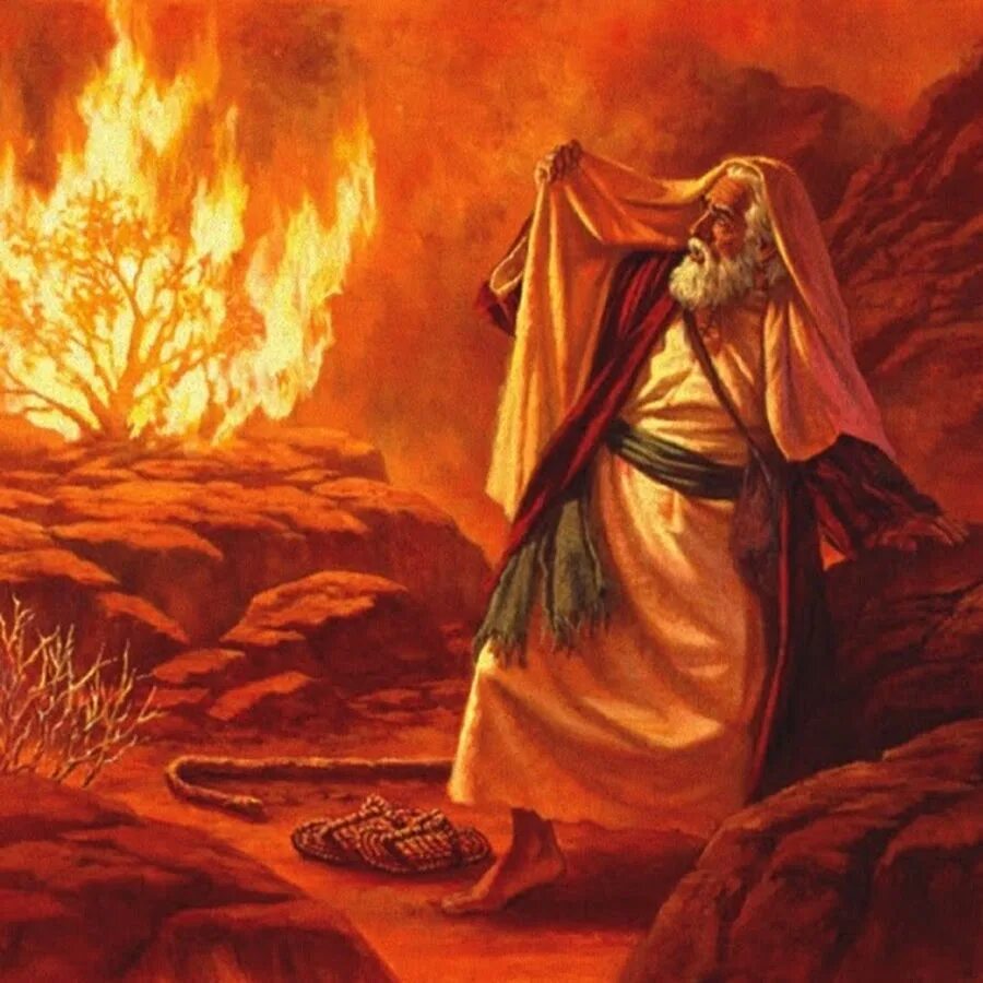 моисей и терновый куст. горящий куст в библии. горящий куст в библии. куст моисея неопалимая купина. моисей и терновый куст.