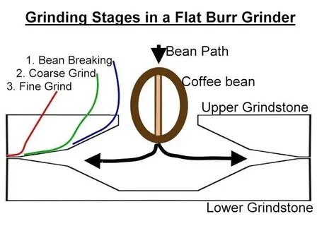 Grind переводчик