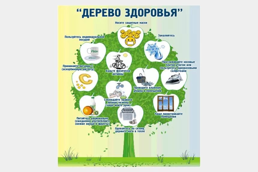 Дерево здоровья. Плакат дерево здоровья. Дерево здоровья для дошкольников. Дерево здоровья в детском саду. Дерево здоровья картинки.