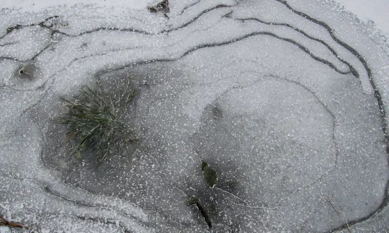 Вода покрылась коркой льда. Замерзшая лужа. Лужицы зимой. Замерзшие лужи зимой. Замерзшие лужицы зимой.