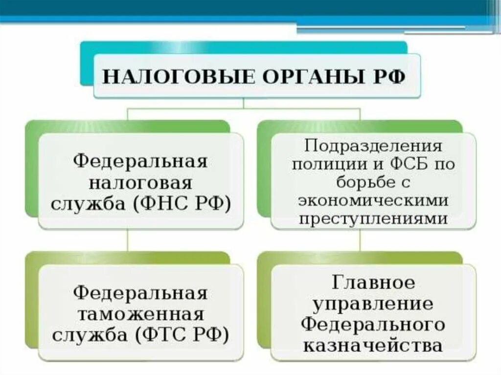 Фискальные налоговые органы. Перечислите государственные органы, относящиеся к налоговым органам:. К налоговым органам относятся. Налоговые органы примеры. Какие органы являются налоговыми.