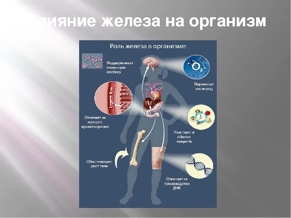 Влияние железа на организм. Роль железа. Железо влияние на организм человека. Роль железа в организме человека. И прочего железа