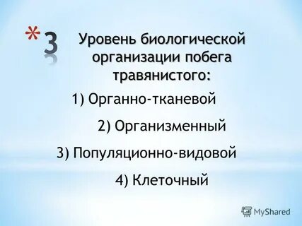 4 уровни биологической организации