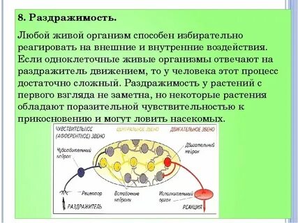 Раздражимость растительной клетки