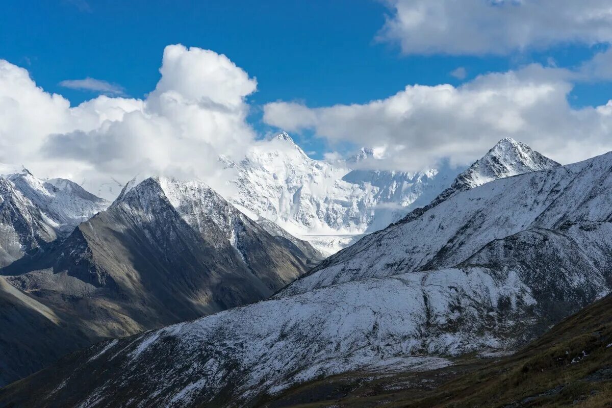 Самая высокая вершина сибири гора. Белуха горный Алтай. Гора Белуха Алтайский край. Белуха гора Алтай вершины. Высота горы Белуха Алтайский край.