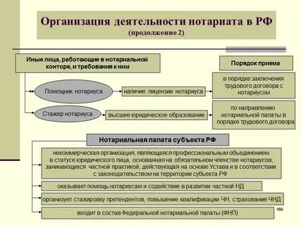 Система органов нотариуса