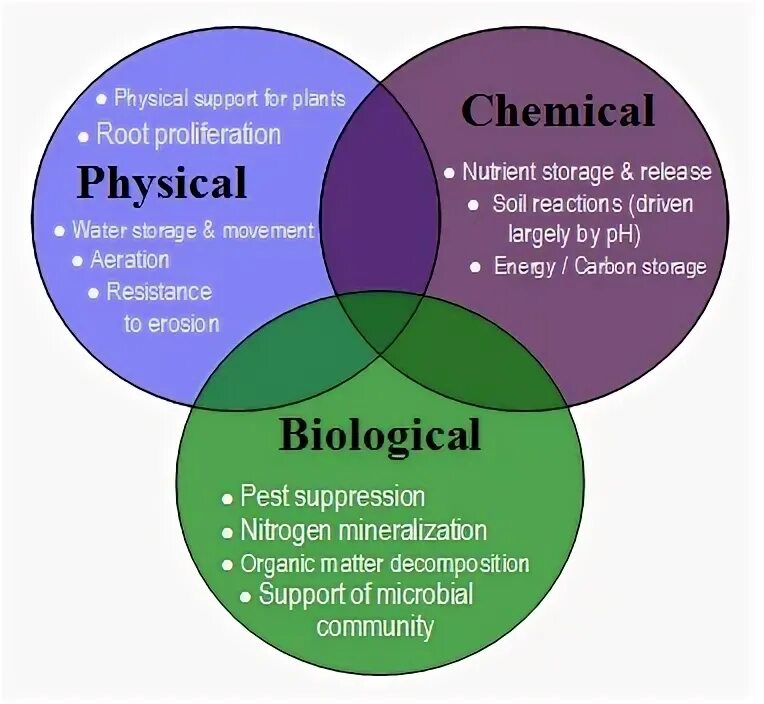 Physical chemical. Physics of Soil properties. Physical properties of Soil. Biological Factors. Chemistry physics and Biology.