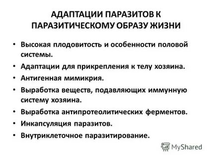 Мимикрия характеристика адаптации