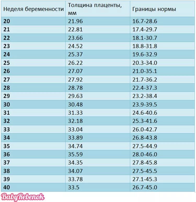 Вес плаценты по неделям беременности таблица 59 фото - wForm.ru
