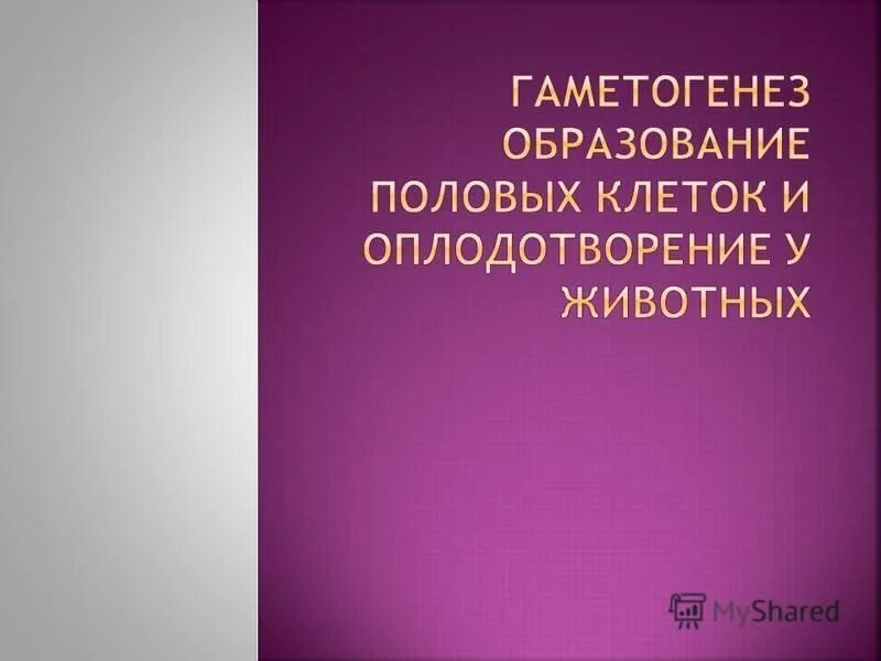 профессиональные достижения аттестуемого. портфолио профессиональных достижений. цель и задачи портфолио педагога. портфолио профессиональных достижений. портфолио профессиональных достижений.