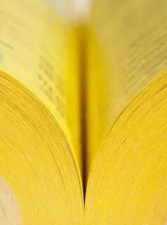 Большая желтая книга