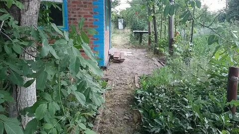 Сальск бровки