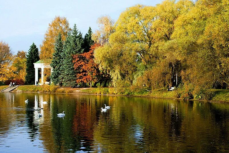 Пруд победа. Приморский парк Победы в Санкт-Петербурге. Приморский парк Победы лебяжий пруд. Приморский парк Победы Питер. Приморский парк Победы в Санкт-Петербурге осень.