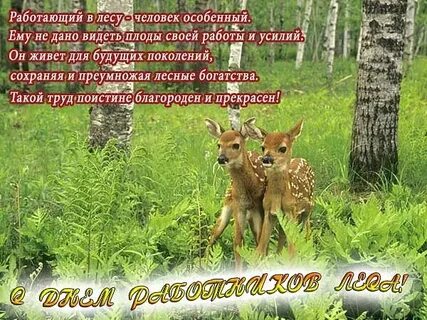Поздравление с днем работника лесного хозяйства