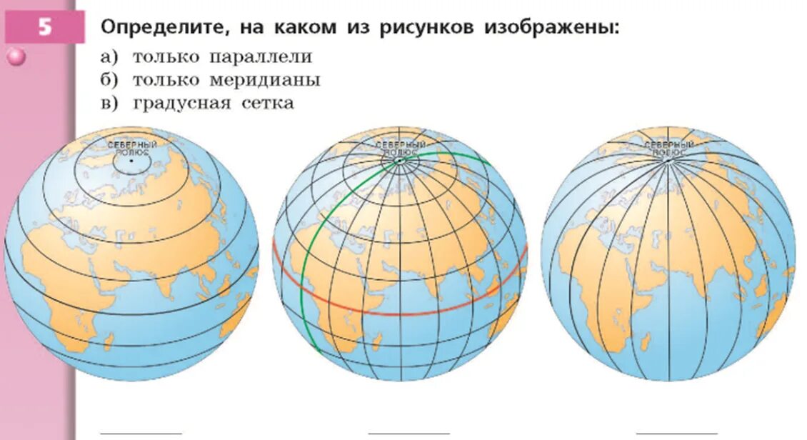 География градусная сеть Меридиан. Градусная сетка 5 класс Полярная звезда. Экватор Меридиан параллель. Параллели и меридианы градусная сеть 5 класс. Как расположены параллели на карте