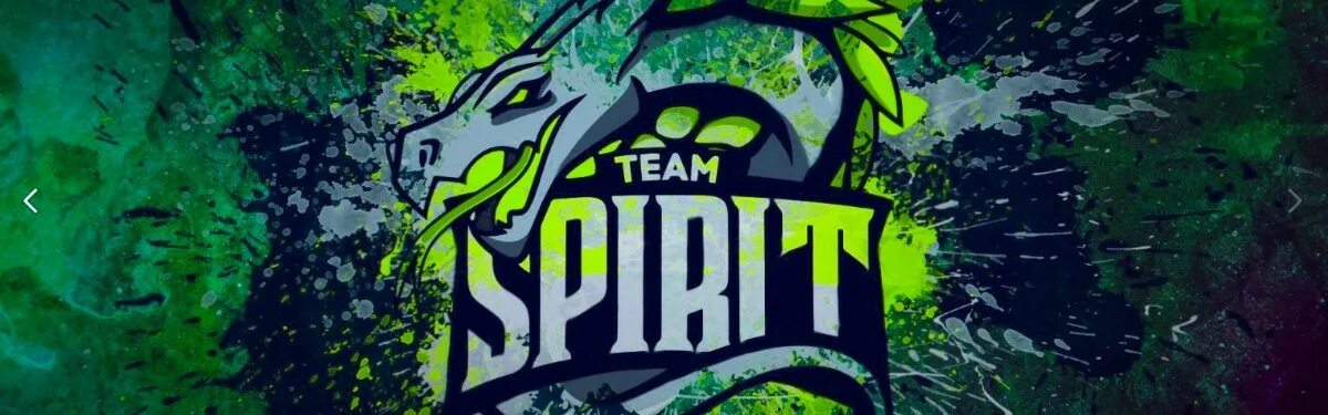 Team spirit elevate. Team Spirit Dota 2. Состав тим спирит дота 2 2022. Team Spirit лого.
