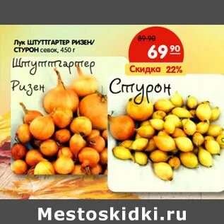Акции лук