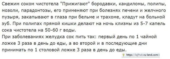 Как правильно принимать чистотел внутрь. Как принимать сок чистотела. как пить сок чистотела. приём сока чистотела схема. как пить сок чистотела при онкологии.