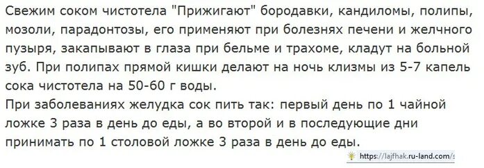 Чистотел от рака. Схема принятия сока чистотела. Как принимать сок чистотела. Как пить сок чистотела. Как пить сок чистотела при онкологии.