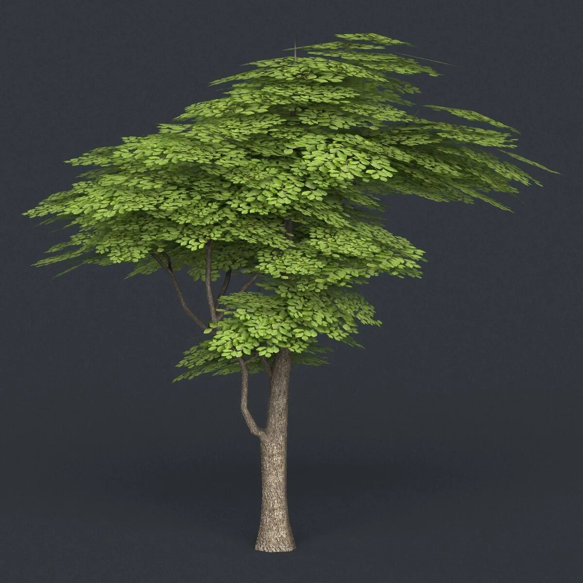 Low poly tree. Дерево 3д модель low poly. low poly tree 3d model. клён low poly. китайское дерево low poly.