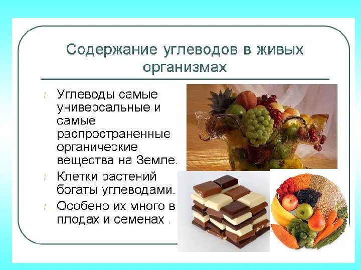 Какие углеводы в шоколаде. Углеводы презентация 10 класс. Углеводы презентация 10 класс химия. Презентация на тему углеводы 10 класс. Углеводы биология 9 класс.