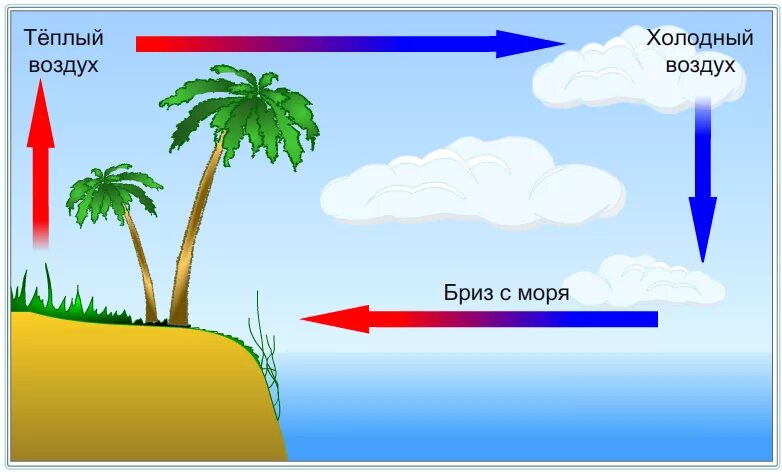 Конвекция ветра