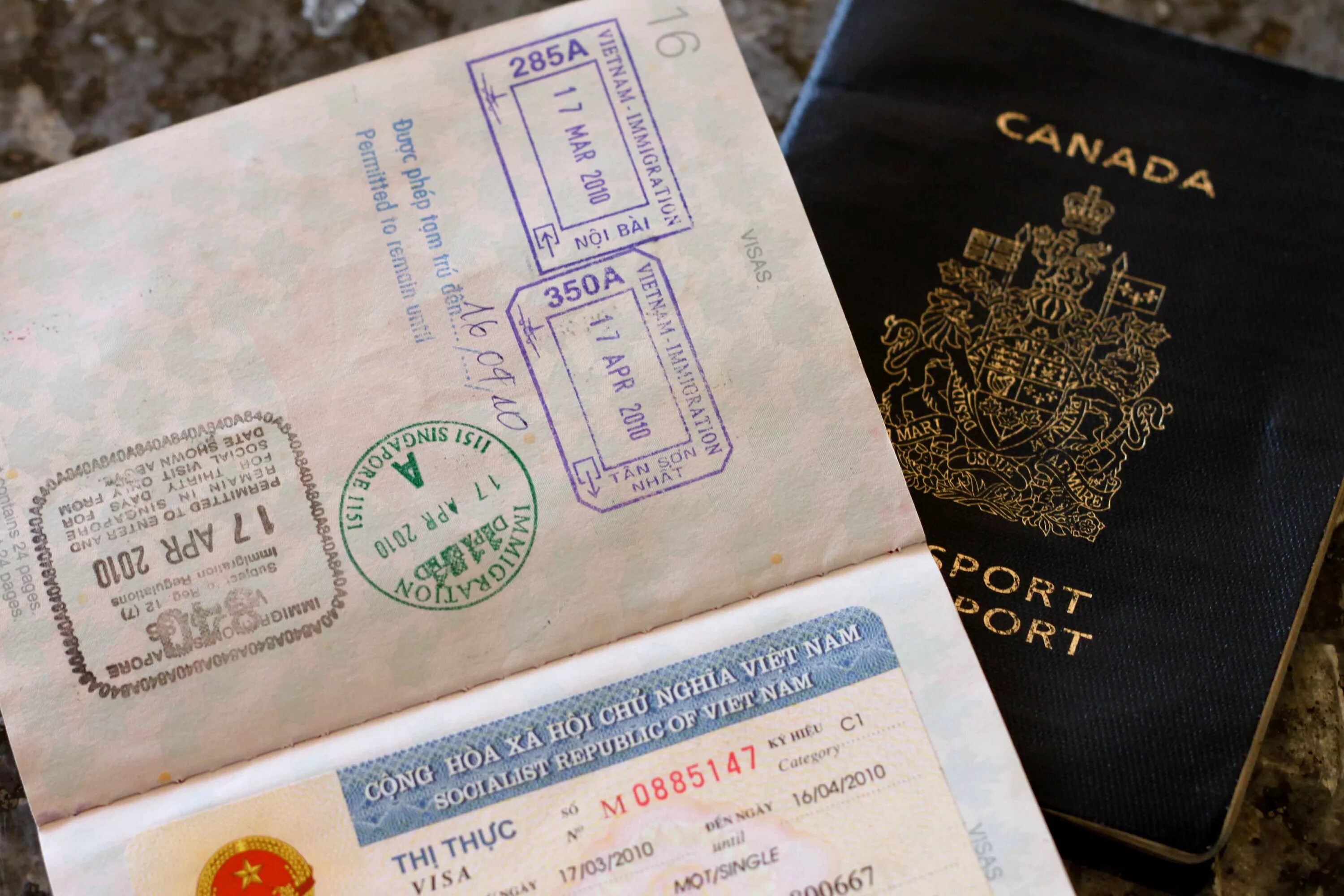 В индию нужна виза для россиян 2024. Вьетнамская виза. Виза во Вьетнам.