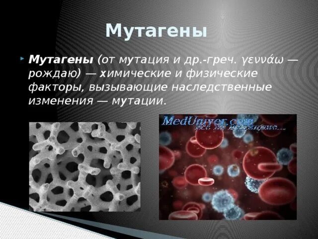 Уберите лишний термин изменчивость мутаген мутация. Химические мутагены. биологические мутагены. химические вещества мутагены. биологические мутагены бактерий.
