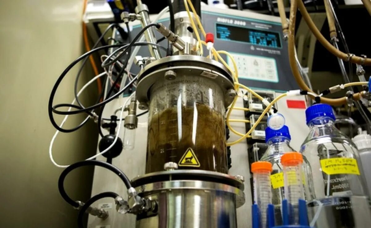 Лаборатория топлив. Биореактор биотопливо. Биодизель в лаборатории. Бактерии в дизельном топливе. Лаборатория топлива.