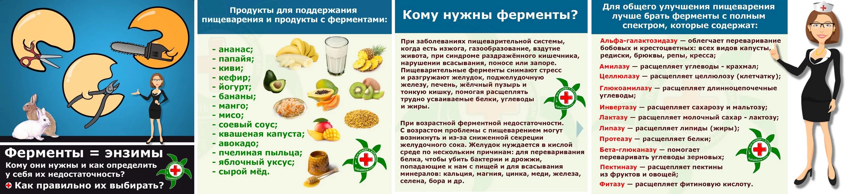 При каких заболеваниях газообразование. Пищеварительные продукты это. Ферменты для пищеварения. Ферменты для пищеварения в продуктах питания. Пищеварительные ферменты в еде.