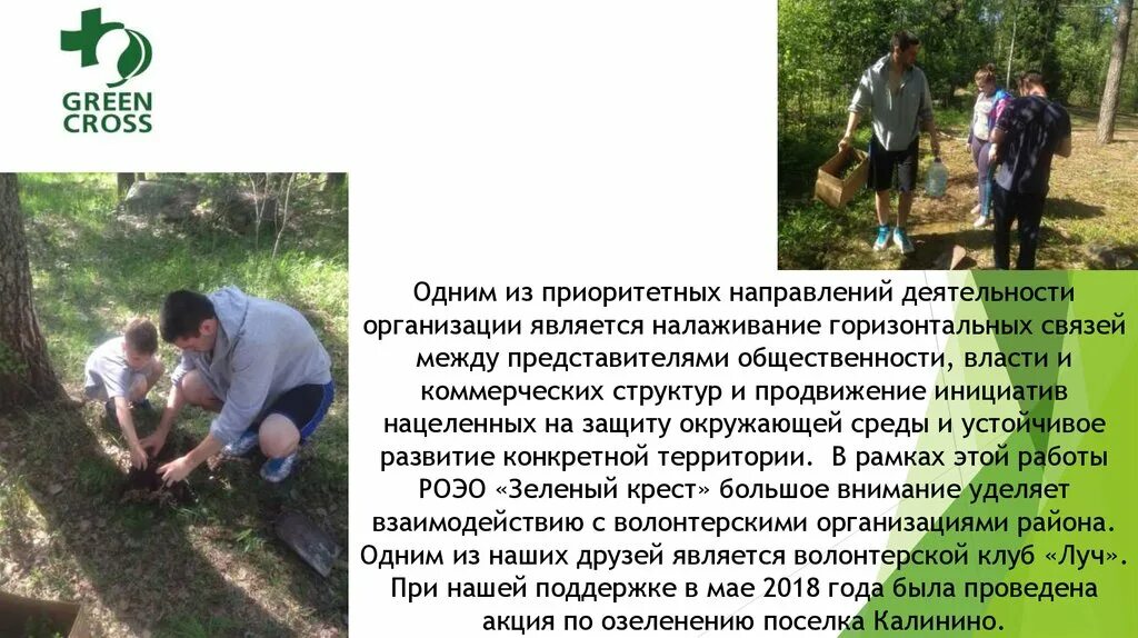 Работа международного зеленого креста. Работа международного зеленого креста