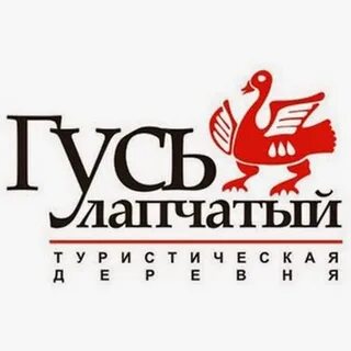 Аптеки гусь