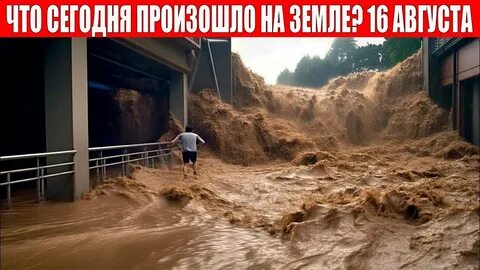 Катаклизмы в мире август 2024